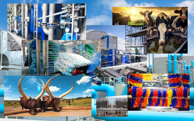 Collage Custom 400x250